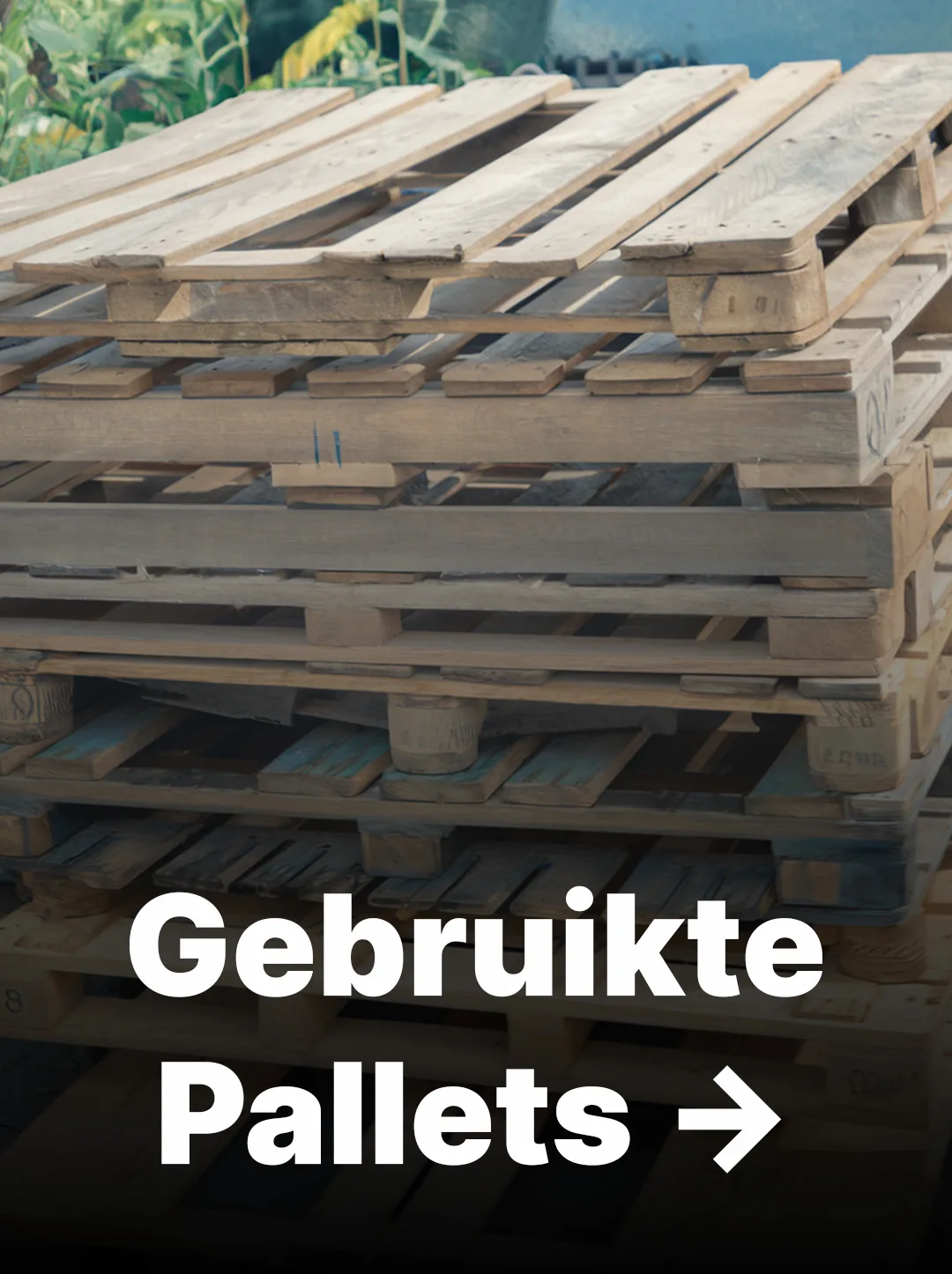 Gebruikte pallets thumbnail